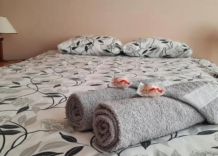 Apartment Elisabeth's & Courtyard For Barbeque Parnu