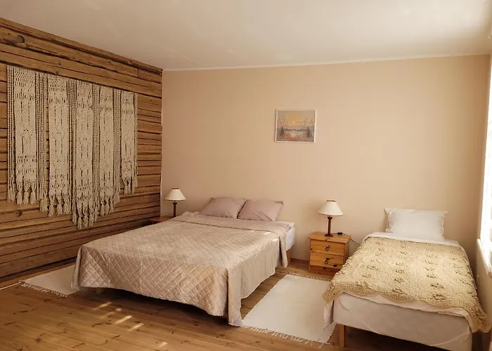 Elisabeth's & Courtyard For Barbeque * Parnu